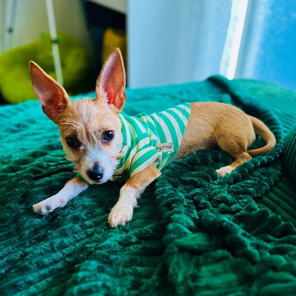 Meet your Posher, Jud - Picture 10 of 14